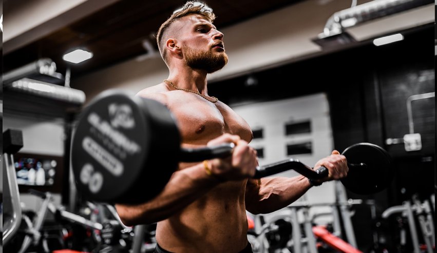 Aperçu du template Studio Fitness